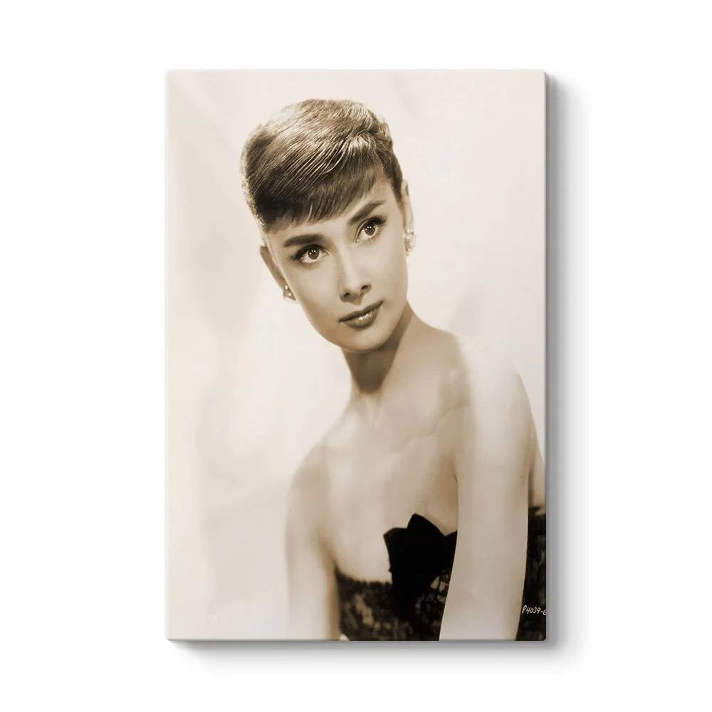 Audrey Hepburn Tablosu - Model 2